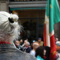 La festa della Liberazione. Milano, 25 aprile 2015