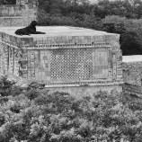 Uxmal. Il guardiano della storia